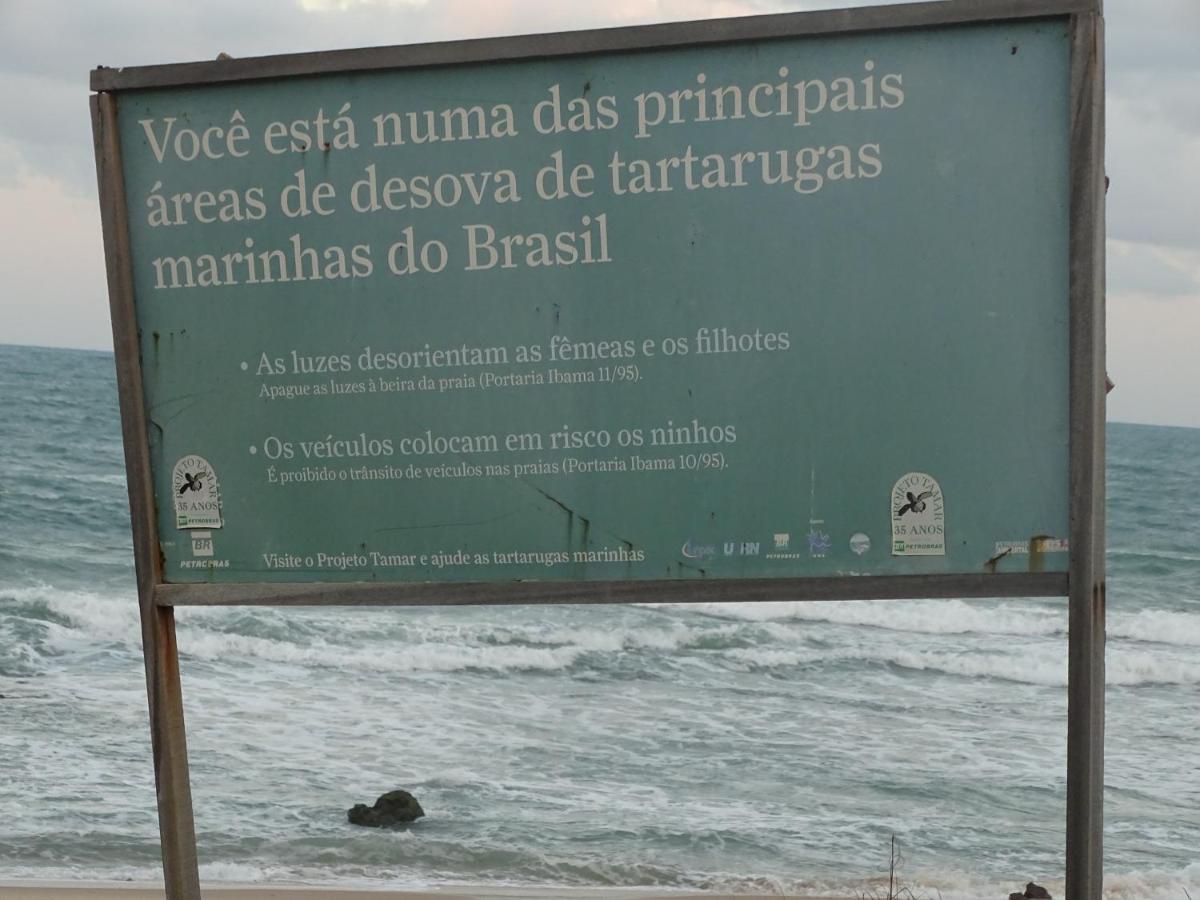 Hostel Terra Viva Praia de Pipa エクステリア 写真